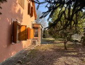 Szigetmonostor Eladó Ház 96.000.000 Ft